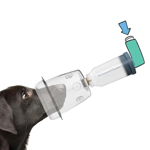 Pet Aerosol Chamber for Cats and Dogs - Larger Mask to Cover Snout and Mouth Which Make Pets Clam and Comfortablely - Specially Designed for Pets (M - Medium Dogs)