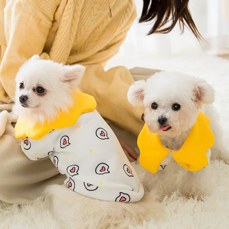 Dog Princess Outfit for Teddy Pets